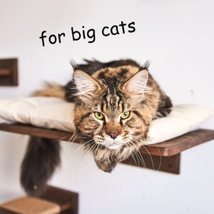 May include: A brown tabby cat with green eyes lies on a white cushion on a wooden shelf. The shelf is attached to a white wall. The text "for big cats" is written above the cat.
