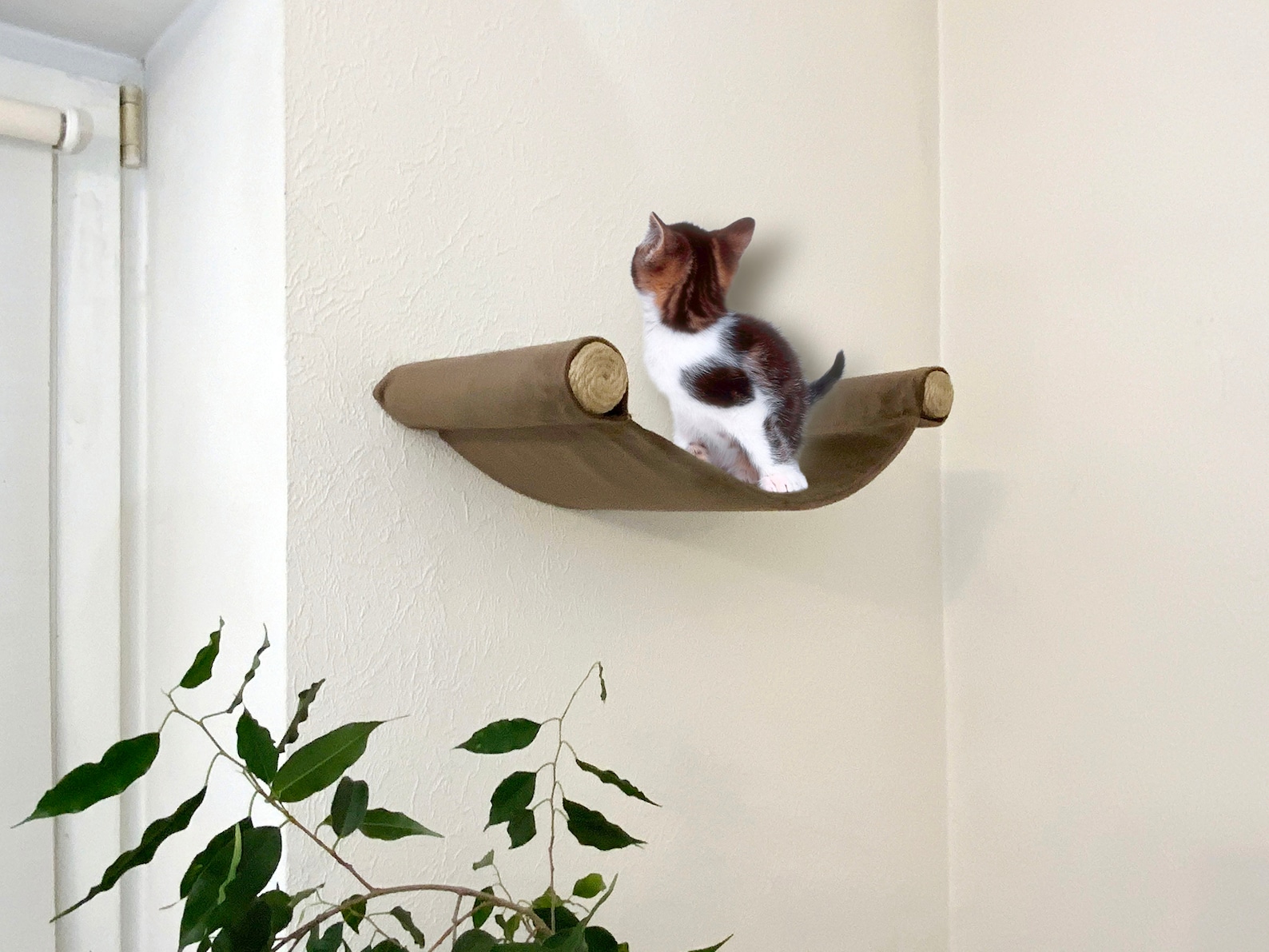 Katzen Hängematte Wand Katzen Regal Katzen Wandmöbel Katzen Etsy