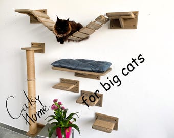 Maine Coon furniture, Big cat shelves, Cat shelves for big cats, Cat furniture for Maine Coon, Cat large furniture