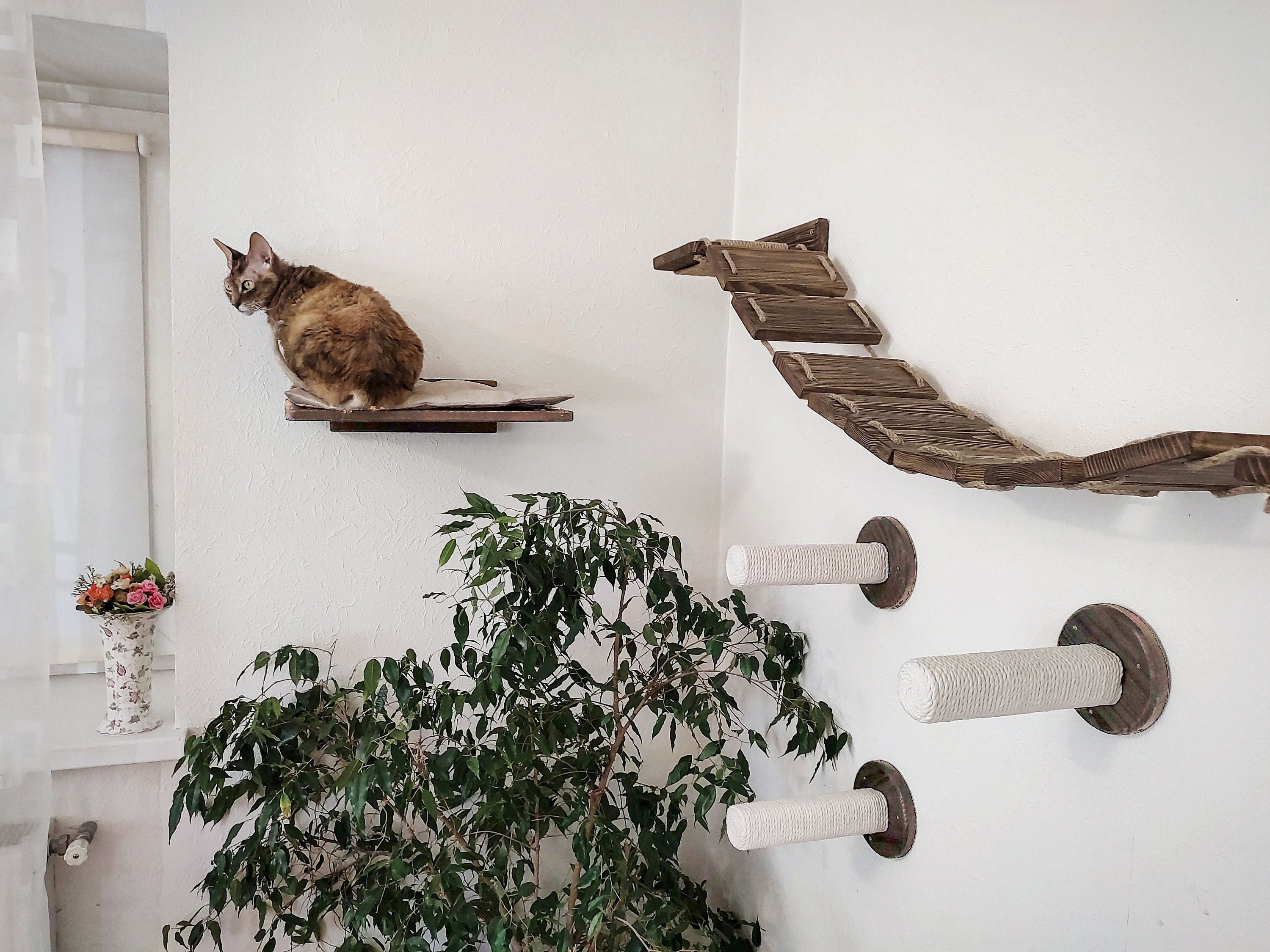 SET Wall Mounted Cat Shelves Cat Shelf Bed with Soft Cushion Etsy
