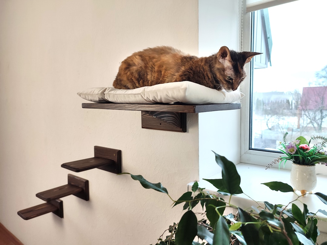 Repisas Para Muebles De Pared Para Gatos Repisa Para Gato Repisas