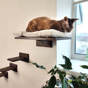 Window cat shelf, Cat bed for wall, Cat perch window, Cat shelves, Wood cat bed, Cat tower