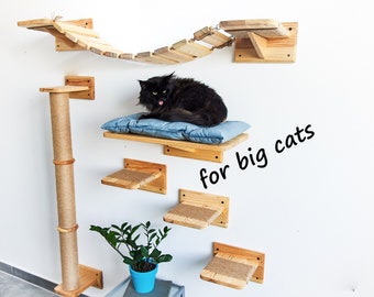 Cat furniture for Maine Coon, Large cat shelves, Cat wall furniture for big cats, Big cat shelves, Cat shelves for wall