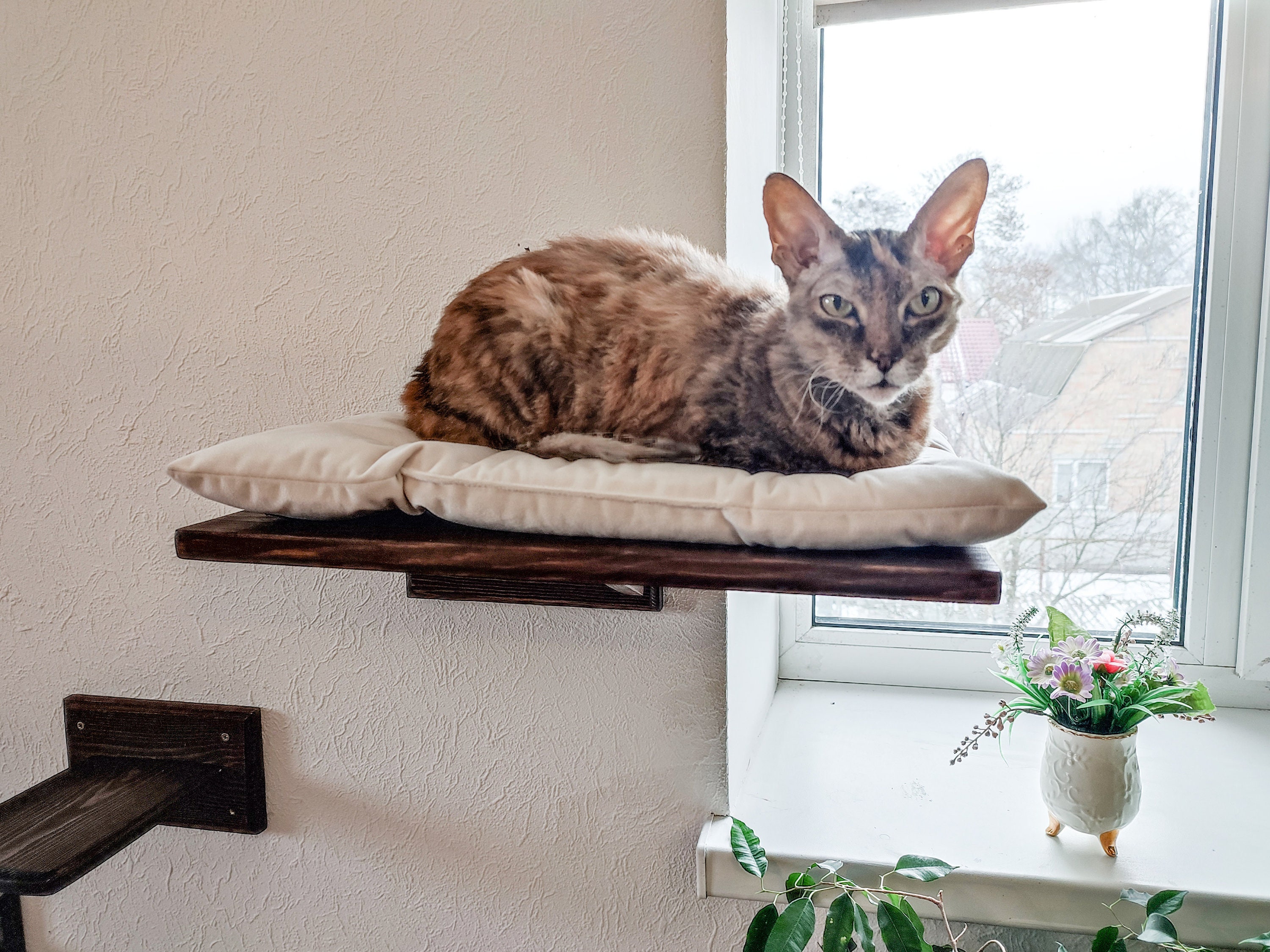 Percha de ventana para gatos, Hamaca para gatos, Cama con ventana para gatos,  Estantes de madera para gatos, Muebles minimalistas para mascotas -   México