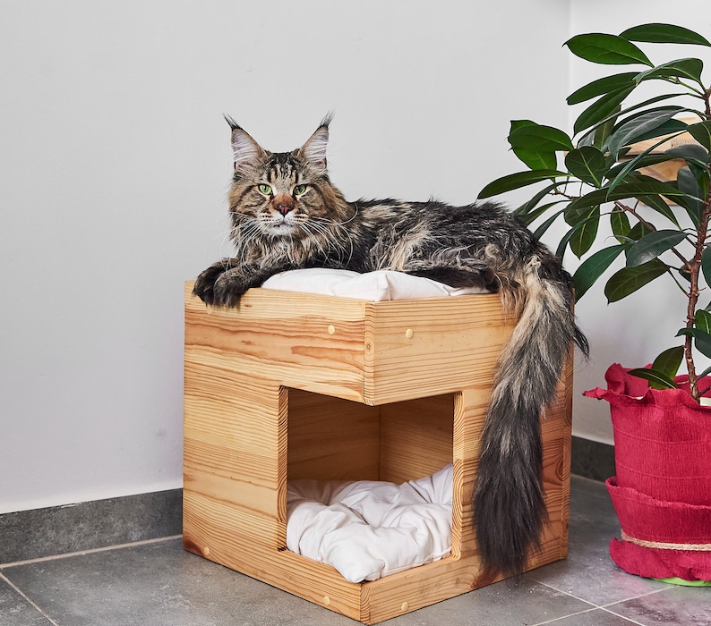 Cat House, Cat Condo, Cat Cave, Cat furniture, Cat bed with soft pillow, Cat home, Dog house natural solid wood, Cat sleeping place image 2