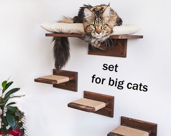 Big cat shelves, Cat shelf for large cats, Cat steps for Maine Coon, Cat shelves for wall, Cat bed for big cats