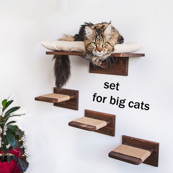 Katzenregal für große Katzen, Katzenstufen für Maine Coon, Katzenregal für die Wand, Katzenbett für große Katzen