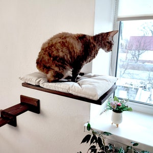 Cat bed window, Cat play furniture Cat shelves natural wood, Cat perch, Cat bed wall with pillow, Cat shelf