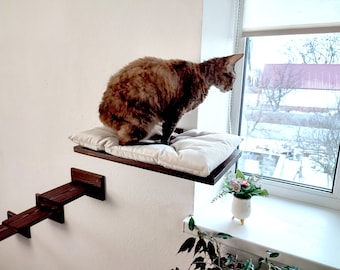 Cat bed window, Cat play furniture Cat shelves natural wood, Cat perch, Cat bed wall with pillow, Cat shelf