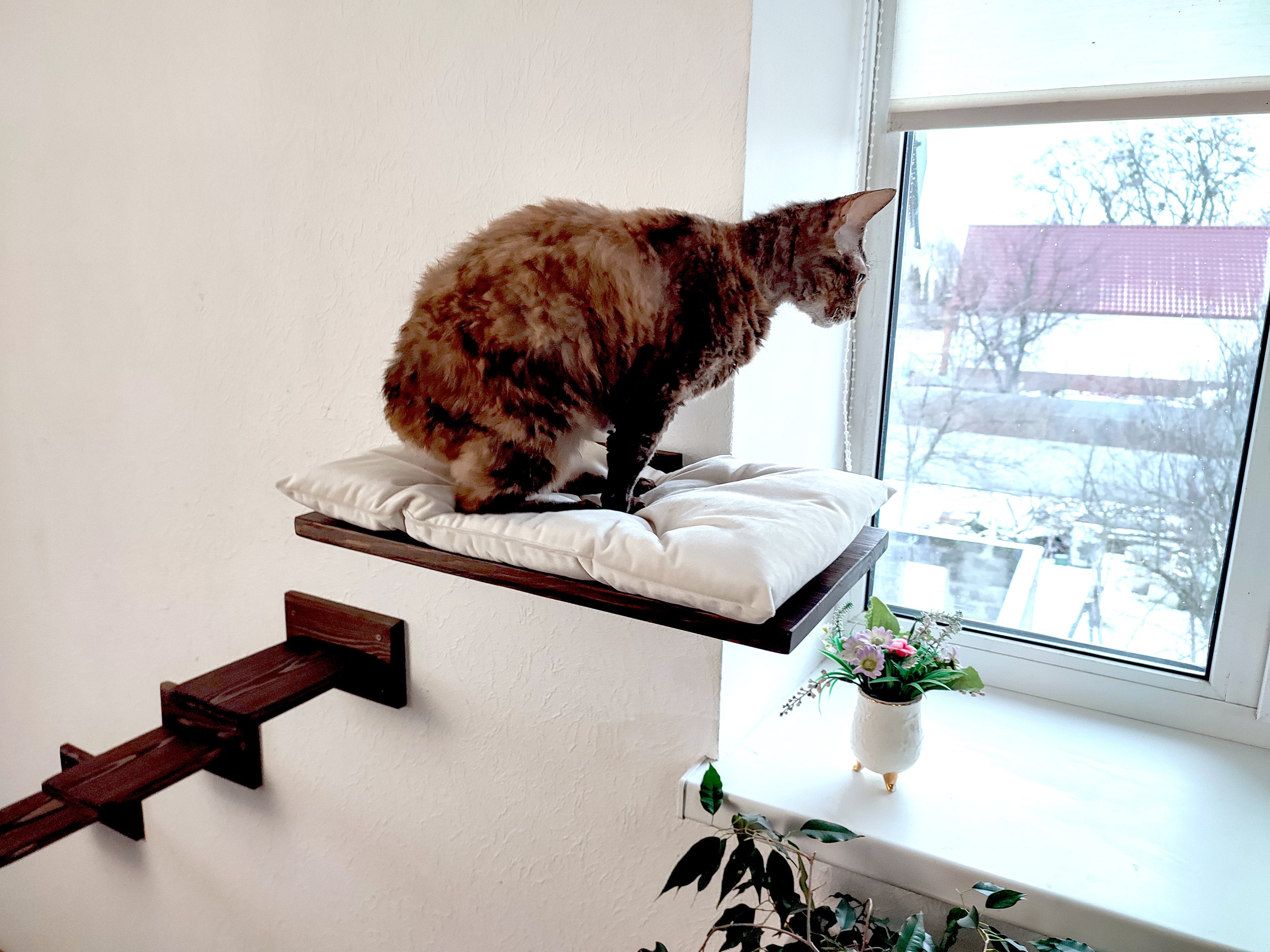 Cat Window Bed Cat Perch Cat Shelves Cat Play Furniture Etsy