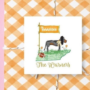 Watercolor Tennessee UT Vols College Football ENCLOSURE Calling CARD | Preppy Sticker Gift Tag | Personalized Girls Trip | Thank You Note