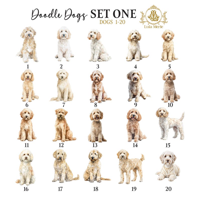 Doodle Dog Stationery Notecards | SET ONE | Poodle Mix Breed Thank You ...