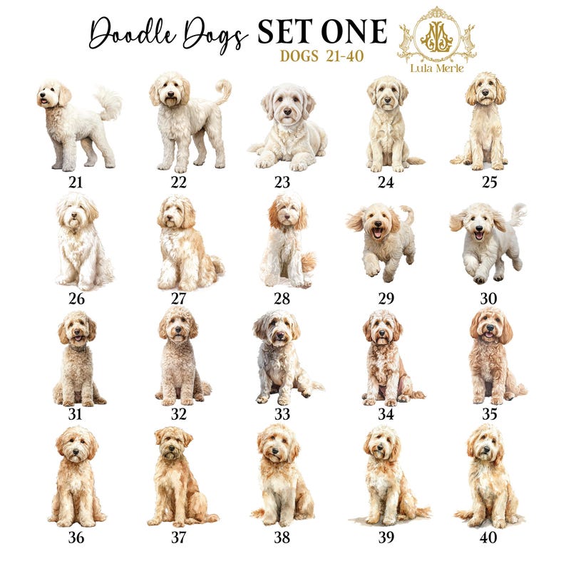 Personalized Stationery Notepad, Doodle Dog List Maker, Dog Breed Memo Note Pad, To Doodle List,  Labradoodle, Golden Doodle, Aussie Doodle, Bernedoodle, Poodle Mix, Sheepadoodle, Cavapoo, Cavachon, Custom Family Pet, Dog Lover Gift, Family Custom Pet, Dog Breeder, Kennel Business, Owner Trainer, Boarding, Groomer Business, Veterinarian, Vet, Christmas Stocking Stuffer, Easter Basket, Valentines, Couples Gift, Realtor New Home Present, Birthday Party, Hostess Gift, Mothers Day Present