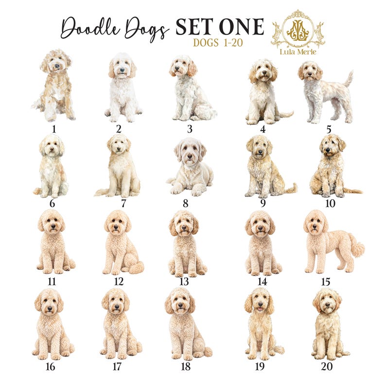 Personalized Stationery Notepad, Doodle Dog List Maker, Dog Breed Memo Note Pad, To Doodle List,  Labradoodle, Golden Doodle, Aussie Doodle, Bernedoodle, Poodle Mix, Sheepadoodle, Cavapoo, Cavachon, Custom Family Pet, Dog Lover Gift, Family Custom Pet, Dog Breeder, Kennel Business, Owner Trainer, Boarding, Groomer Business, Veterinarian, Vet, Christmas Stocking Stuffer, Easter Basket, Valentines, Couples Gift, Realtor New Home Present, Birthday Party, Hostess Gift, Mothers Day Present