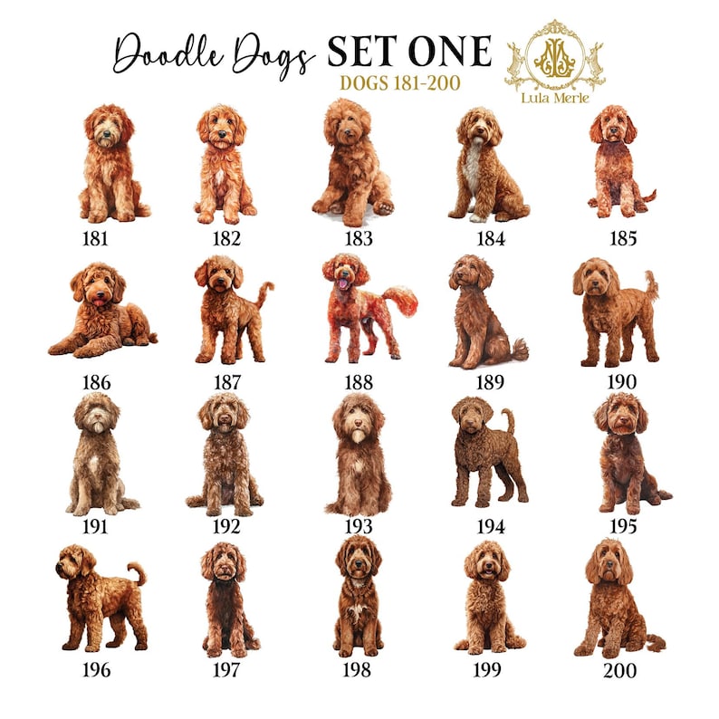 Personalized Stationery Notepad, Doodle Dog List Maker, Dog Breed Memo Note Pad, To Doodle List, Labradoodle, Golden Doodle, Aussie Doodle, Bernedoodle, Poodle Mix, Sheepadoodle, Cavapoo, Cavachon, Custom Family Pet, Dog Lover Stationery Gift, Family Custom Pet, Dog Breeder, Kennel Business, Owner Trainer, Boarding, Groomer Business, Veterinarian, Vet, Christmas Stocking Stuffer, Easter Basket, Valentines, Couples Gift, Realtor New Home Present, Birthday Party, Hostess Gift, Mothers Day Present