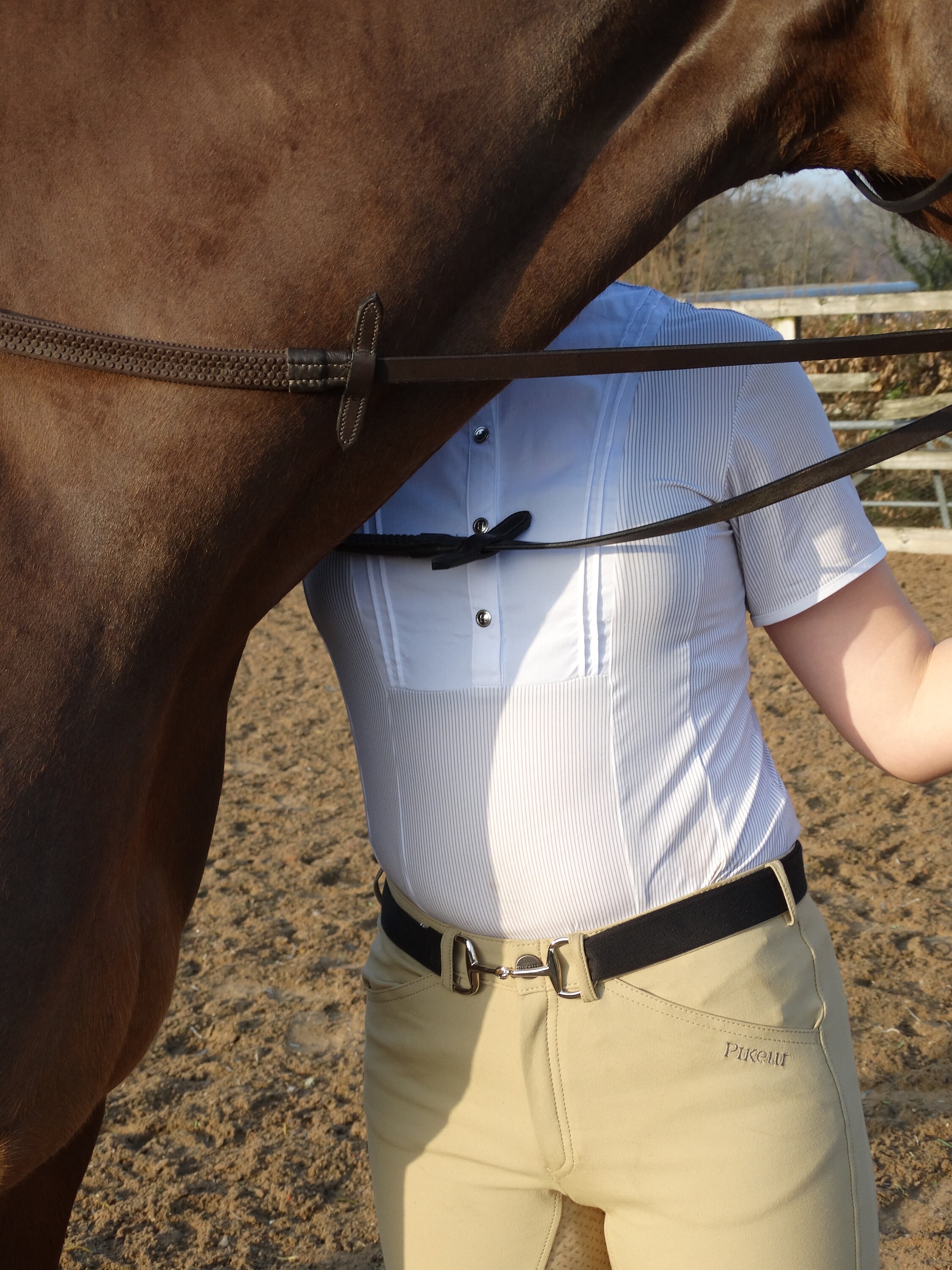 Snaffle bit clasp belt Etsy