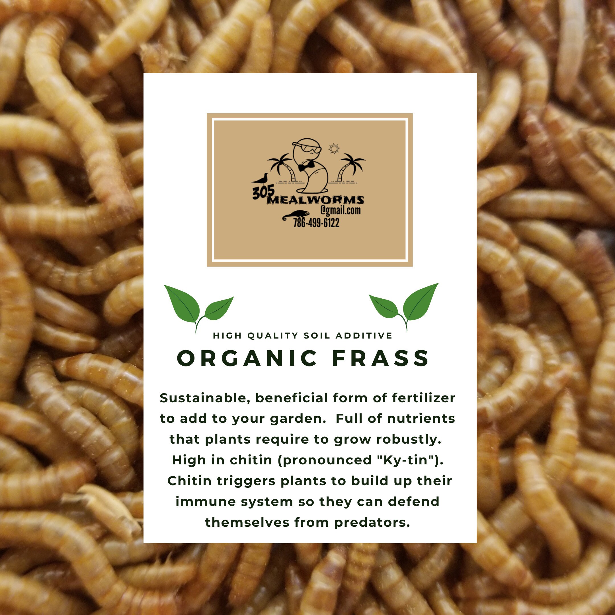 Mealworm Frass Organic Plant Fertilizer Soil Additive 10 Etsy