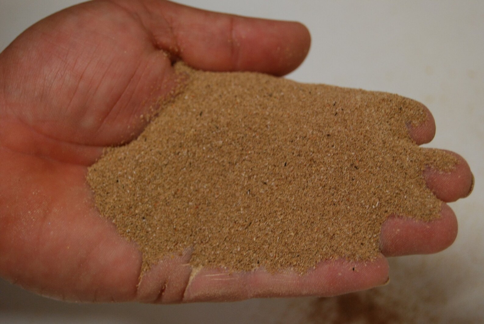 Mealworm Frass Organic Plant Fertilizer Soil Additive 10 Etsy