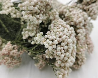 Fiore Di Riso Diosmi Conservato Mazzo Bianco | regalo | Decorazioni per la casa | Fiori secchi | matrimonio | Decorazione di torte | Boemo | Decorazioni per feste in casa