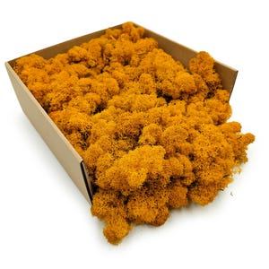 Op de afbeelding: Een kartonnen doos gevuld met levendig, goudgeel bewaard mos. Het mos heeft een textuur, donzig uiterlijk, waardoor een natuurlijk en decoratief element ontstaat. Ideaal voor knutselprojecten of woondecoratie.