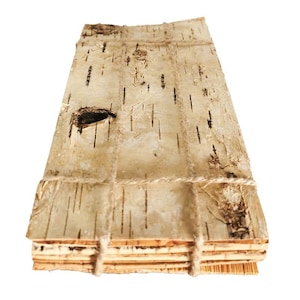 Fogli di betulla 10x20cm – Confezione da 8 fogli di corteccia naturale | Corteccia di betulla rustica per artigianato, biglietti, decorazioni floreali e decorazioni ecologiche per la casa