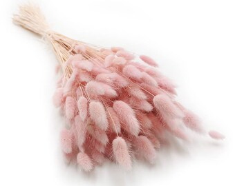 120 Heather Bunny Tails - Natuurlijke gedroogde Lagurus | Pluis | Cadeau | Woondecoratie | Gedroogde bloemen Konijnenstaarten | Bruiloft | Taartdecoratie | Boho