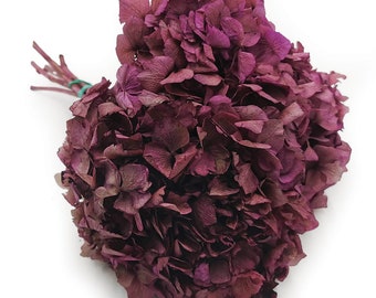 Hortensia préservé violet | Hortensia séchée | Fleurs d’hortensia préservées | Fleurs séchées | Fleurs de mariage | Cadeau