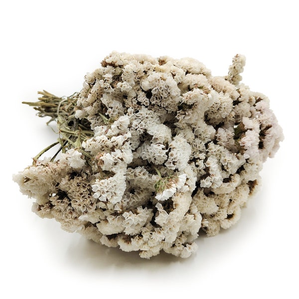 Statice Limonium sinuatum - White