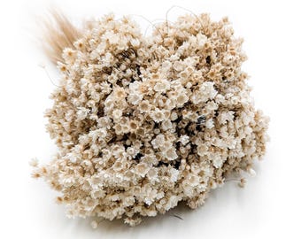 Pode incluir: Um buquê de pequenas flores secas de cor creme, com um toque marrom claro. As flores estão bem agrupadas, criando uma aparência texturizada. O fundo é branco liso, destacando os tons naturais do arranjo floral.