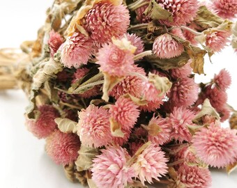 30 Dried Pink Gomphrena Flowers Bouquet | Gift | Home Decor | Dried Flowers | Wedding | Cake Decoration | Boho | Home Party Decor