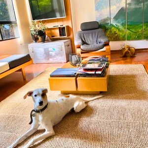 Livingroom natural area rug handwoven