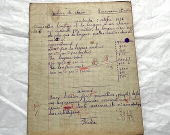 1920s - French School Notebook - Vintage Educational Ephemera - Handwritten Lessons - French Culture