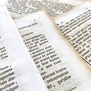 May include: Close-up of open antique book pages with text in Latin and French. The pages are aged with a yellowed hue, and the text is printed in black ink. The pages are slightly out of focus, creating a vintage aesthetic.