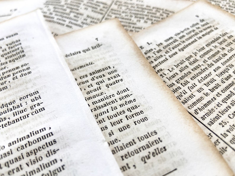 May include: Close-up of open antique book pages with text in Latin and French. The pages are aged with a yellowed hue, and the text is printed in black ink. The pages are slightly out of focus, creating a vintage aesthetic.