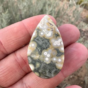Pode incluir: Uma pedra preciosa polida em forma de l&aacute;grima com um padr&atilde;o complexo de inclus&otilde;es orbiculares em verde floresta escuro, amarelo mostarda e creme. A pedra tem uma superf&iacute;cie lisa e brilhante com manchas circulares distintas espalhadas.