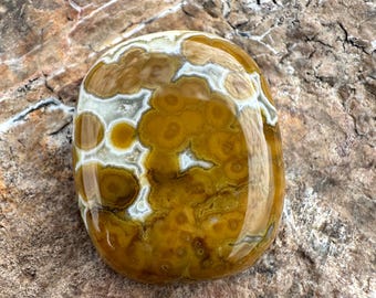 Pode incluir: Uma pedra polida, lisa e de formato oval com um padrão complexo de orbes e veios circulares em tons de amarelo mostarda, castanho dourado e branco creme. A superfície é brilhante e reflexiva, exibindo uma composição mineral natural.