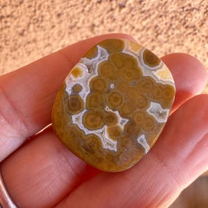 May include: A polished, oval-shaped gemstone with a unique pattern of brown and tan circular designs, separated by white and cream-colored lines. The stone is held in a hand, showcasing its natural beauty and intricate details. The gemstone is a natural stone.