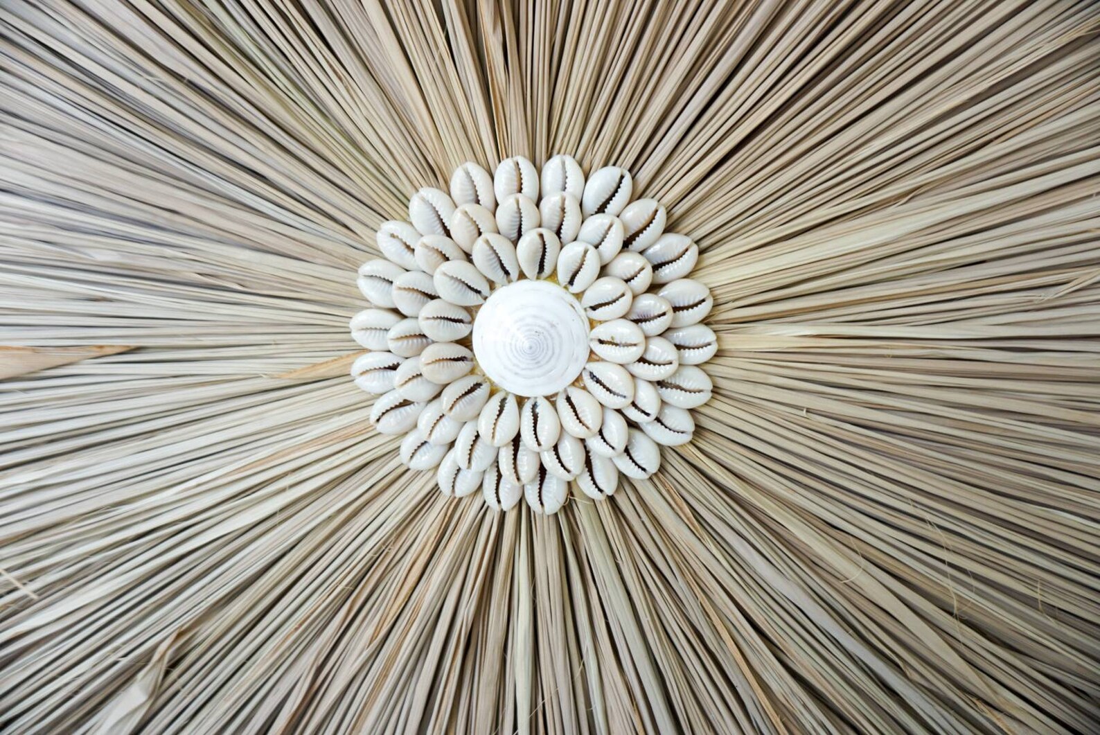 Image showcasing Extra Large Seagrass Wall Hanging Seagrass Nautical Wall - Etsy