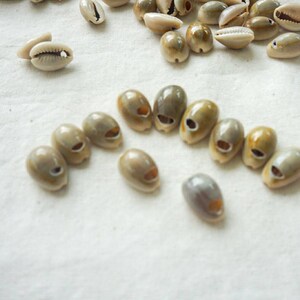 Pode incluir: Uma coleção de pequenas conchas brancas e marrons com um furo perfurado em cada uma. As conchas estão dispostas em semicírculo sobre um fundo de tecido branco.