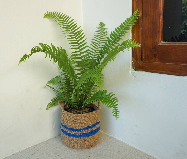 Jute Crochet Plants Basket Jute Pot Cover Jute Plants Etsy UK