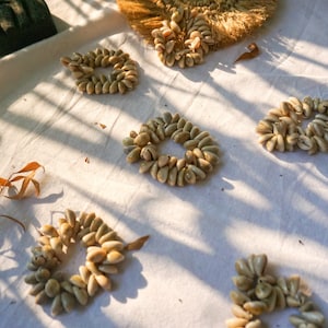 May include: Five circular arrangements of small, light brown seashells on a white fabric surface. The shells are arranged in a circular pattern, creating a decorative design.