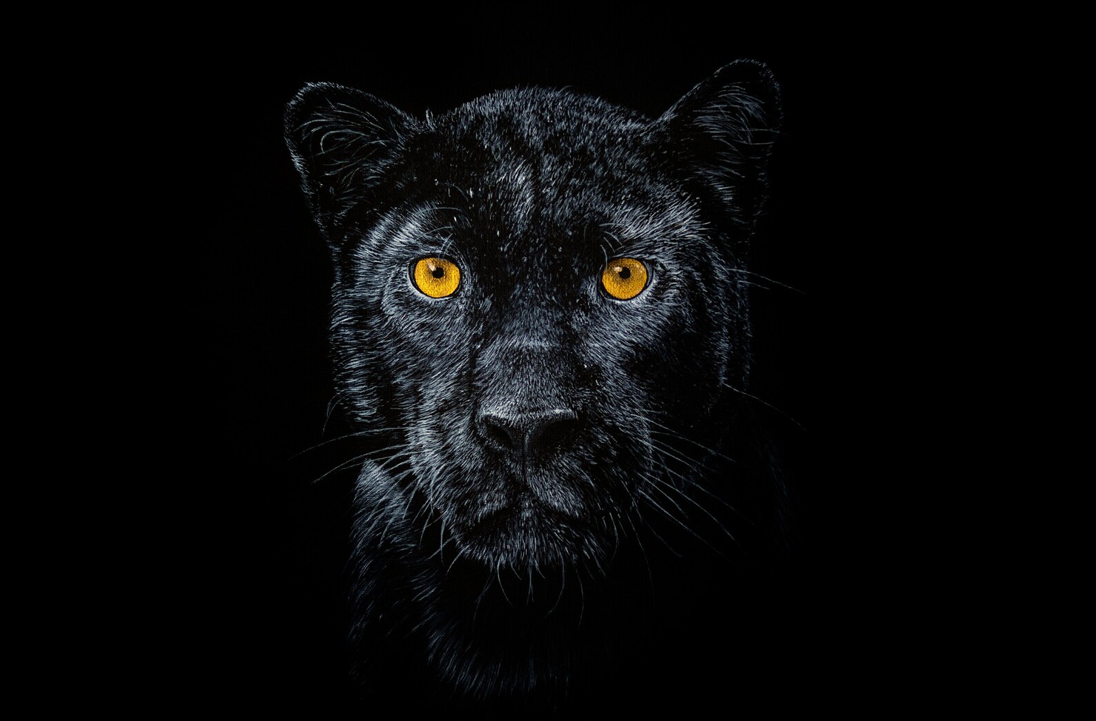 Panther Giclée Print A3 Based on Original Acrylic Painting | Etsy