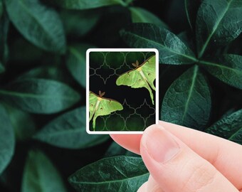 Mini Book Sticker - How Does it Feel, Jeneane O'Riley, Infatuated Fae Series