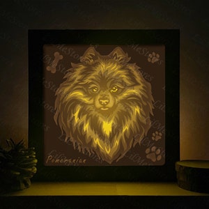 Poméranie 3D, Svg Shadow Box, pour Cricut, Silhouette, modèle en couches, fichiers papier découpé