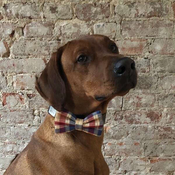 Bow ties for dogs, gift idea, photo idea, collars accesories, large dog bow ties, dapper dog, best seller