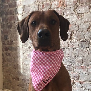 Personalized dog bandana, personalized, dog bandana, over the collar dog bandana, dog scarf, neckerchief, cute photo idea, gift idea