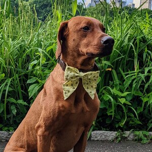 Bee Sailor Bow for Dog, Summer Bee Dog Bows, Spring Bee Bows for Dogs, Double-layered Bow Ties, Bees Dog Scarf