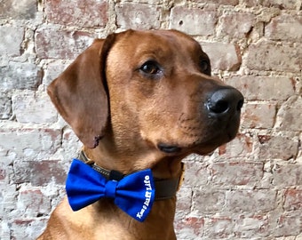 Personalised dog bow Clearance