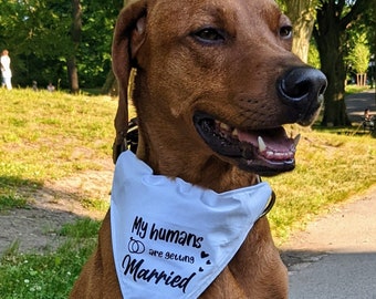 wedding dog bandana, my humans are getting married bandana, wedding dog attire, wedding announcement dog bandana, engagement dog bandana,
