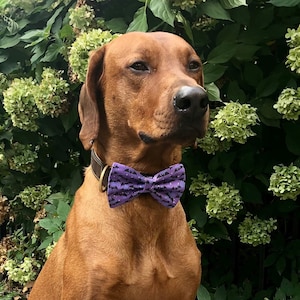 Halloween Bats Dog Bow Tie, Halloween Personalized Dog Bow Tie, Halloween Bow Tie For Dogs  Customized with you Pup&#39;s Name